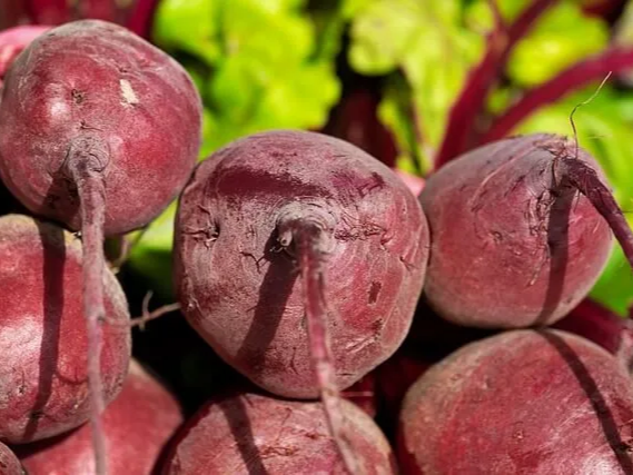 건강에 좋은 비트