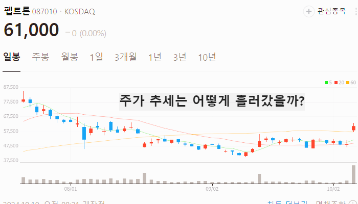 위고비 관련주 대장주 테마주 수혜주 TOP7