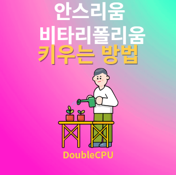 안스리움 비타리폴리움 키우기