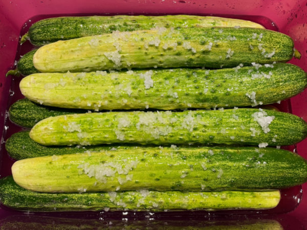 오이지 물없이담그는방법 - 절이는 동안 오이 위치 바꿔주기