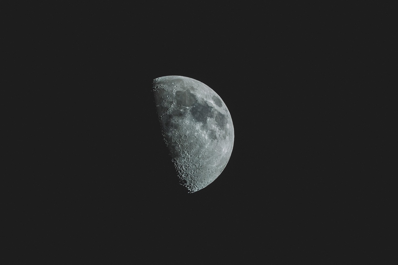 달 사진
