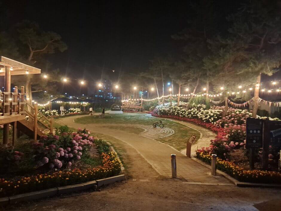 유구색동수국정원꽃축제