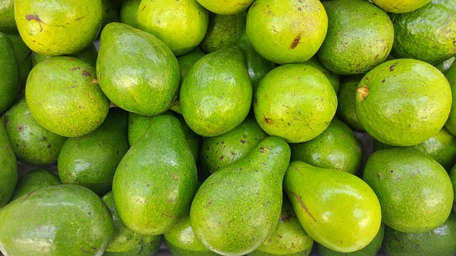 빨간맛 다이어트 식단 구성법