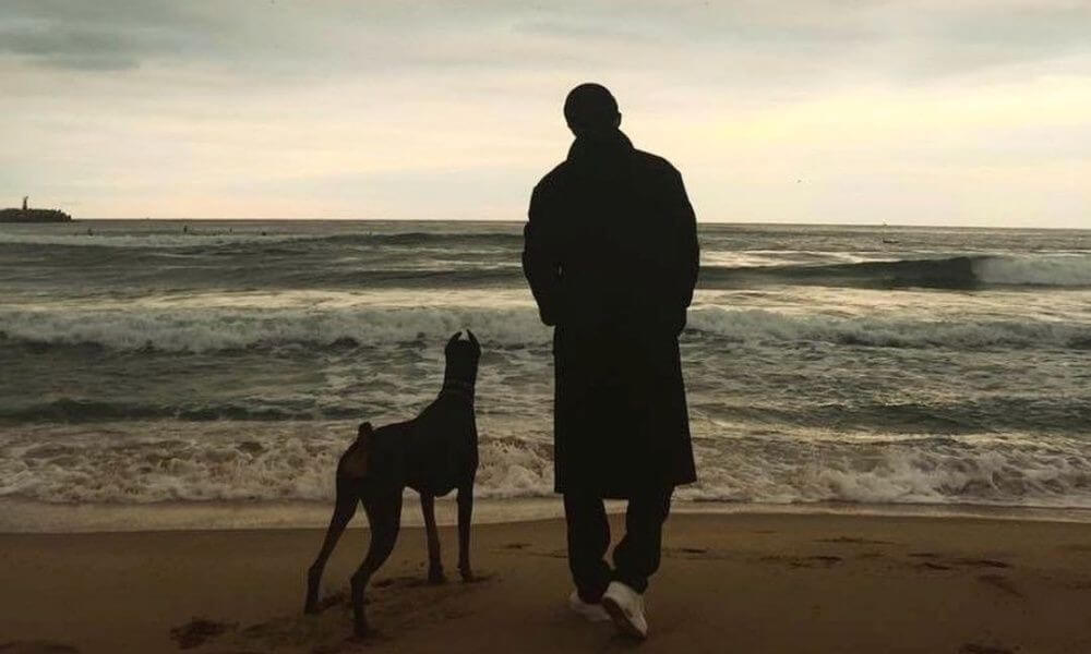 배정남 &lsquo;미우새&rsquo; 눈물 고백 &ndash; 반려견 벨 떠난 뒤 펫로스 증후군 고통