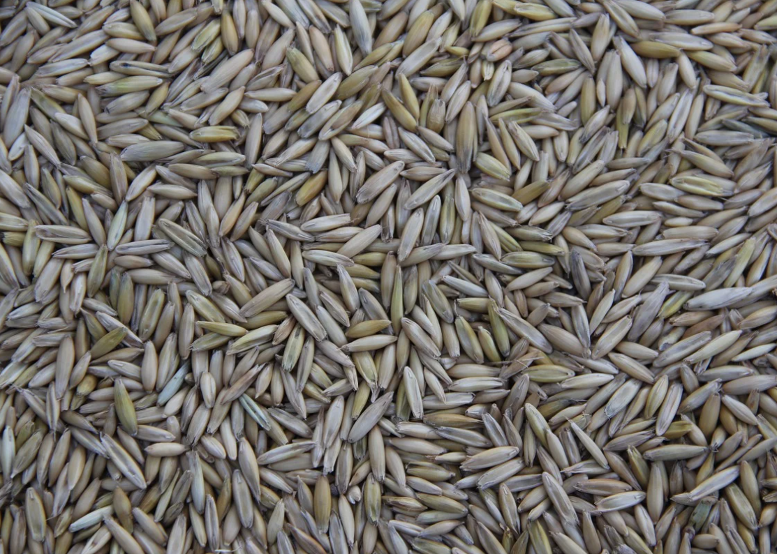 당뇨병에 좋은 음식