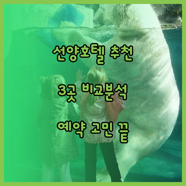 선양 호텔 예약 고민 해결 3곳의 매
