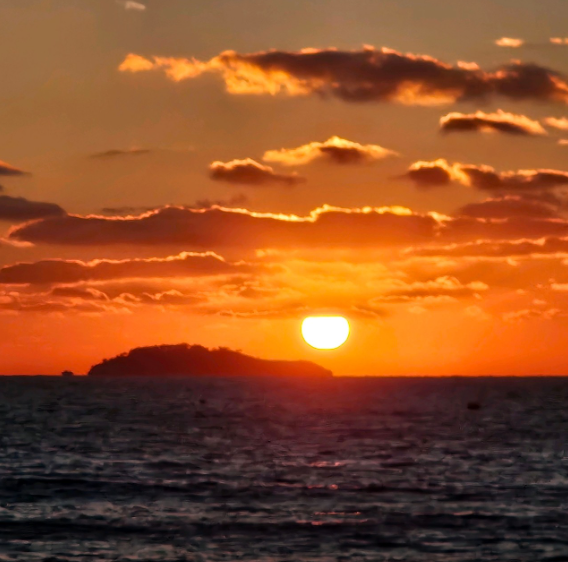 생방송투데이 태안 3GO여행 태안세계튤립꽃박람회 독살체험 우럭젓국 간장게장 꽃지해수욕장 낙조