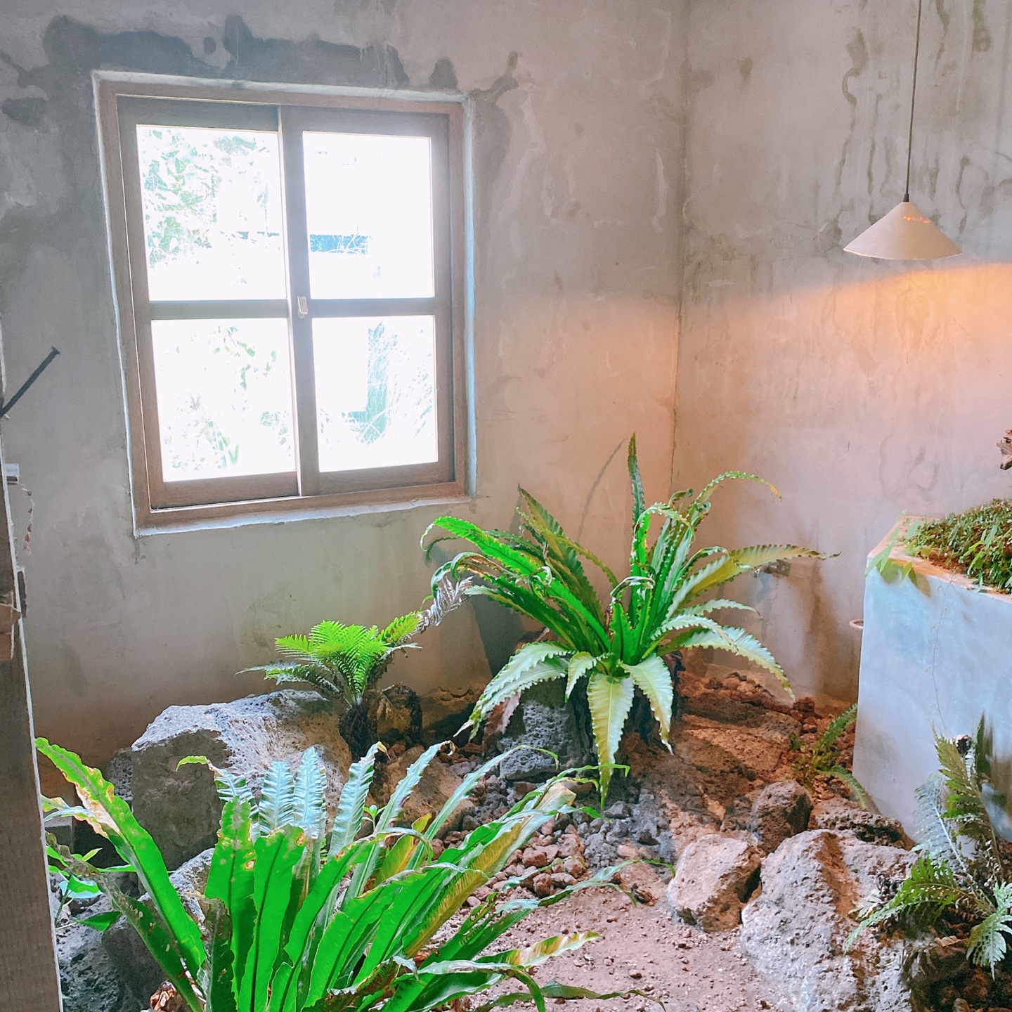 제주 한림 금능 제주구옥 주택개조 카페 잔물결