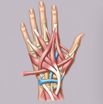 손목 건초염 자가 치료법2