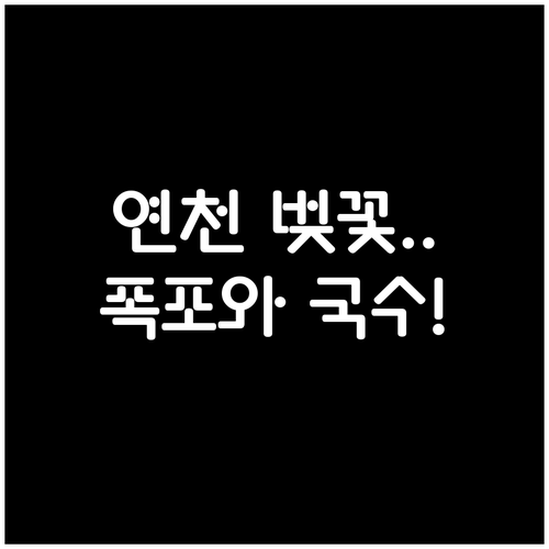 2026 연천 벚꽃 나들이 명소 재인..