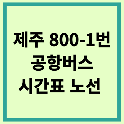 제주 800-1번 공항버스 시간표 노선 타는곳