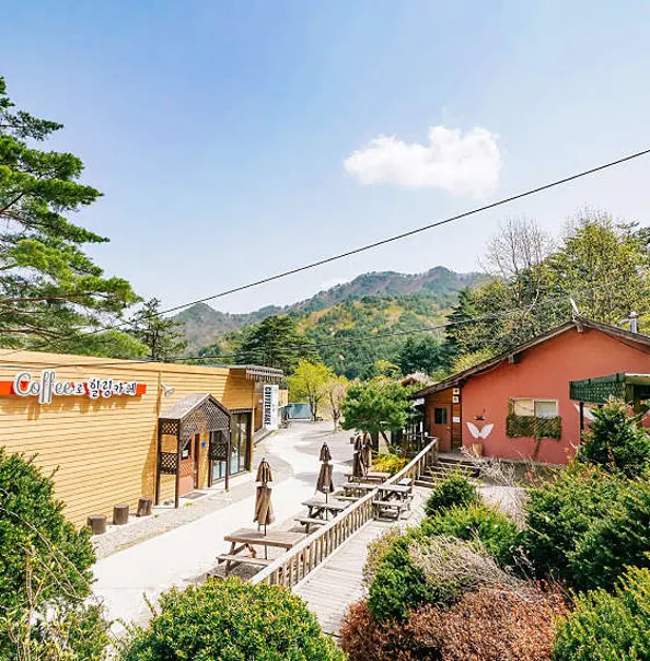 강릉커피박물관