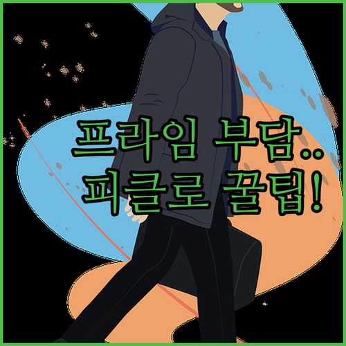 OTT 공유 1위 피클플러스와 함께 ..