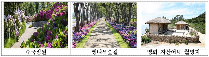 전남 신안 도초도