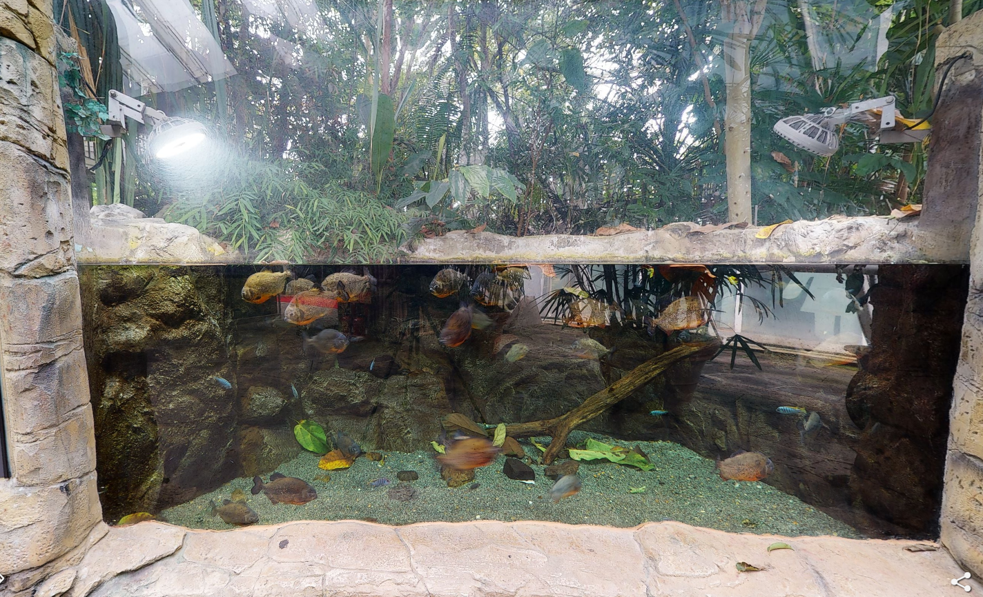 충남 서천 국립생태원: 실내 에코리움과 야외 전시&amp;#44; 백패커 방문