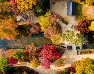 창덕궁후원 단풍