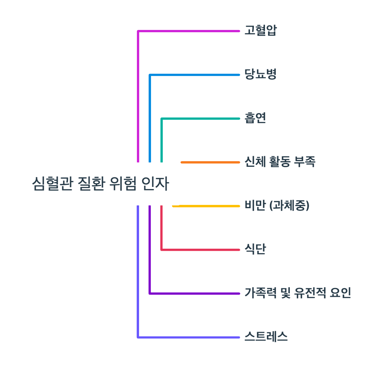 심혈관 질환 위험 인자 정리 마인드 맵