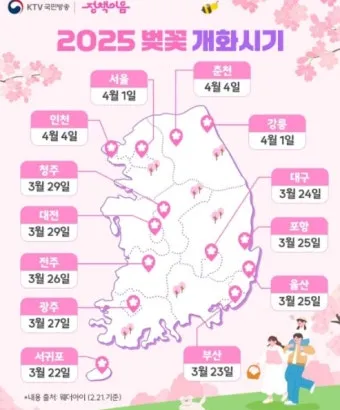 벚꽃 개화 실시간 확인 cctv_12