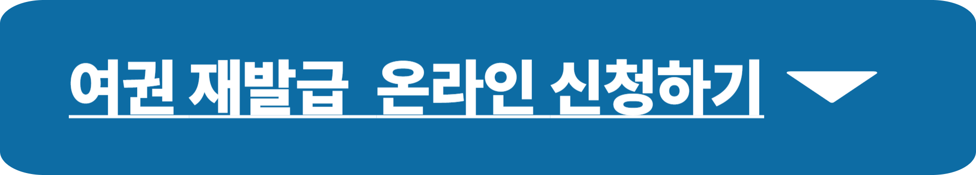 여권 재발급 준비물