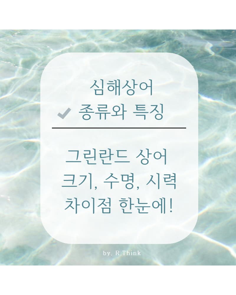 심해상어 종류와 특징, 그린란드 상어 수명, 시력, 차이점