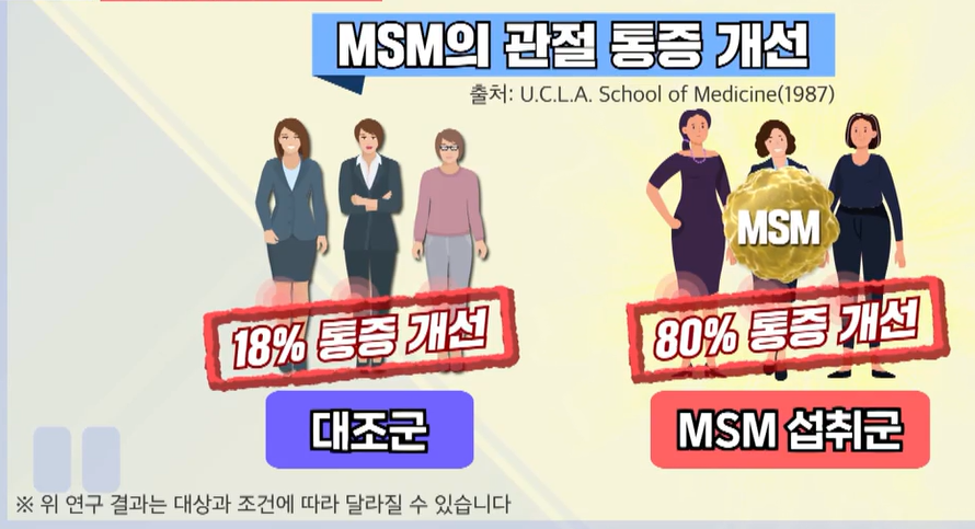 msm의 효능
