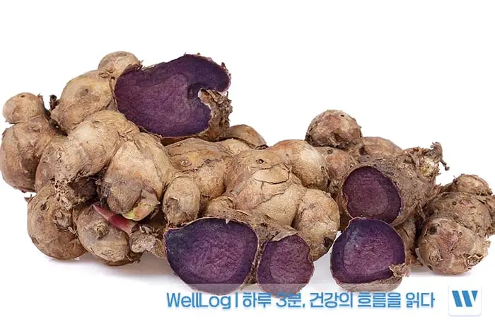 파비플로라 효능