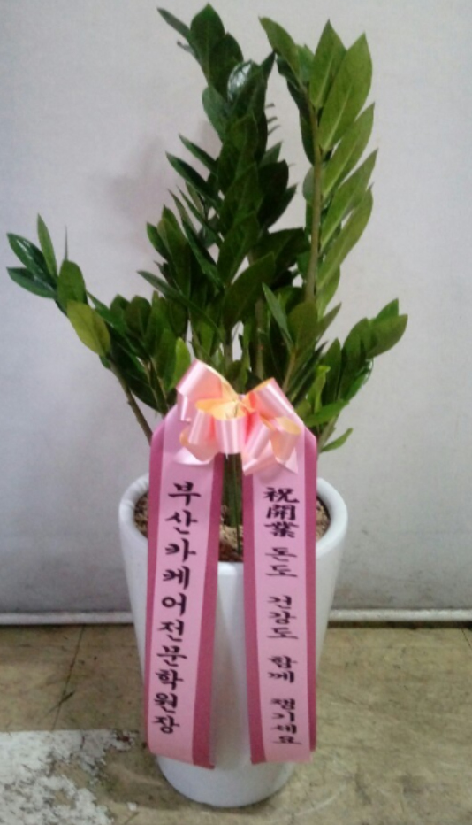 배칠수 꽃배달 실사용자 내돈내산 후기