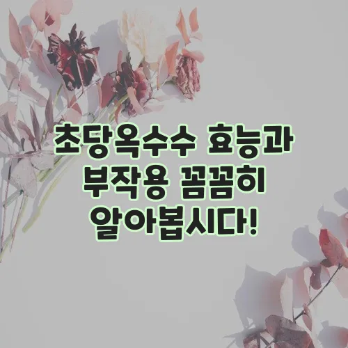 초당옥수수 효능과 부작용 꼼꼼히 알아봅시다!