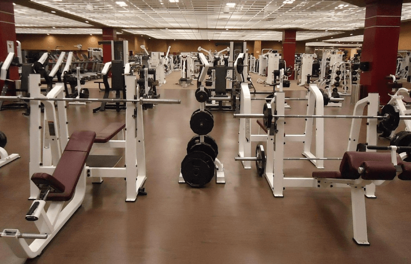 단백질보충제, 운동기구들이 정리돼 있는 헬스장