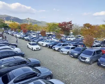 황매산 억새축제_23