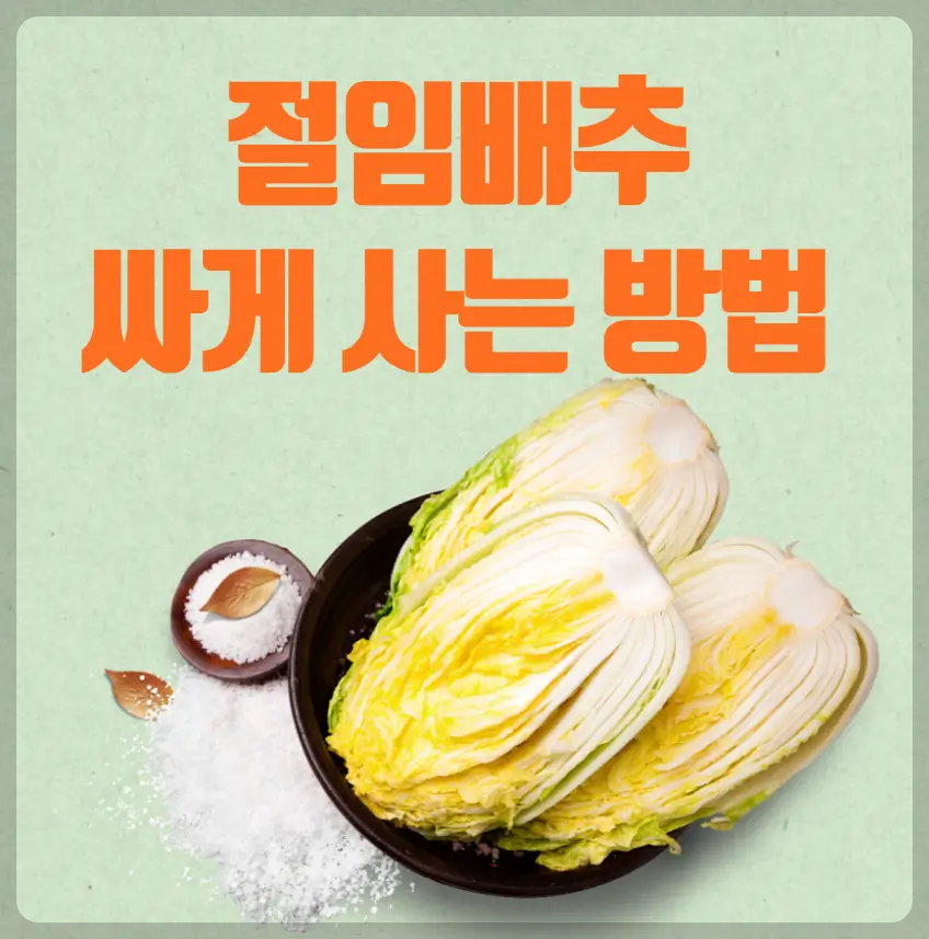 절임배추 싸게 사는 방법