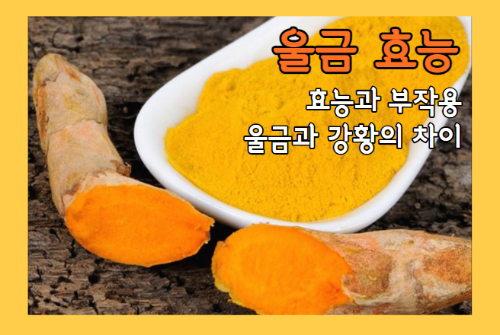 울금 효능 9가지와 부작용&#44; 울금과 강황의 차이
