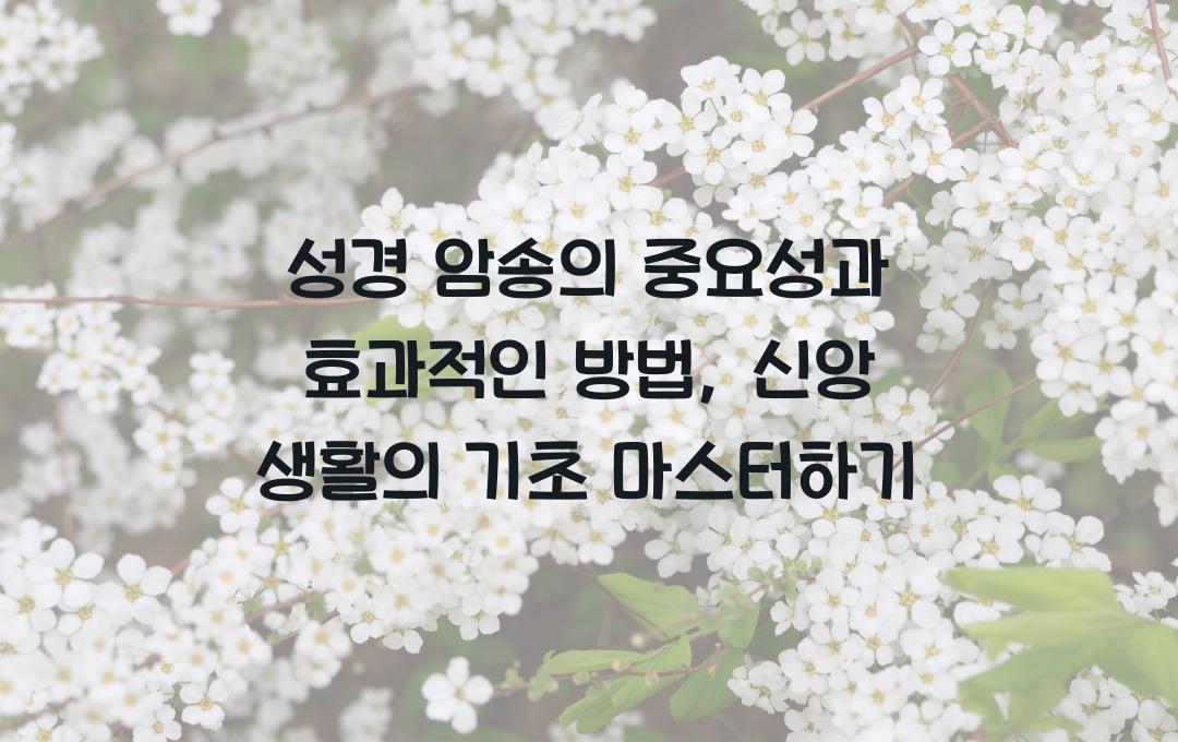 성경 암송의 중요성과 효과적인 방법: 신앙 생활의 기초