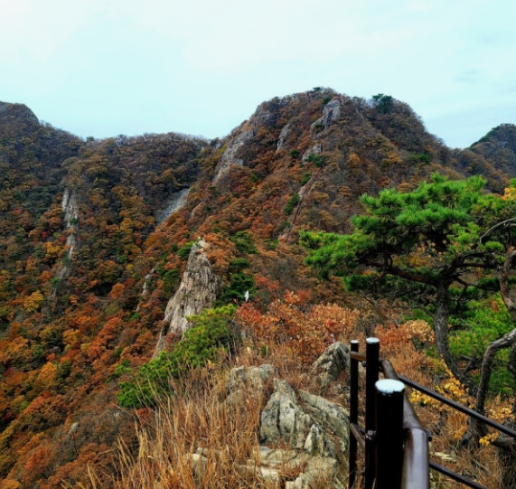 계룡산 국립공원