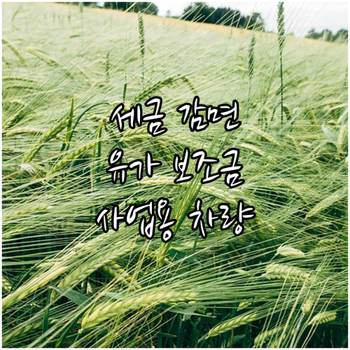 사업용 차량 세금 감면: 자동차세 절..