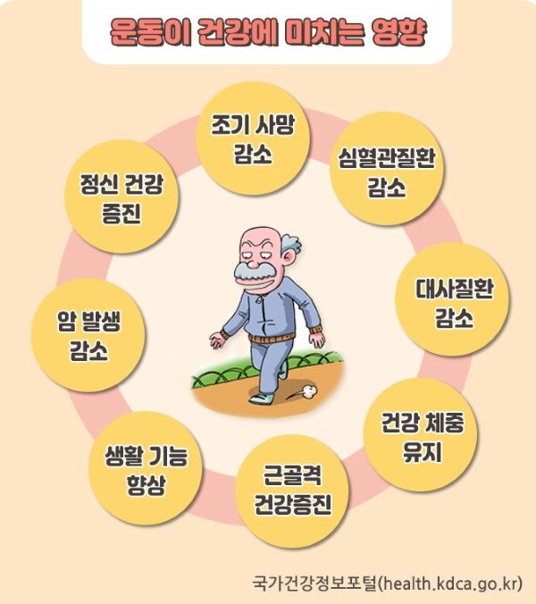 노년기 건강운동법