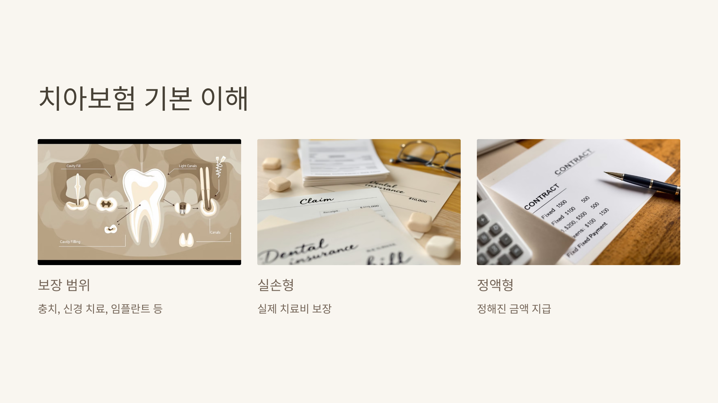 치아보험이란?