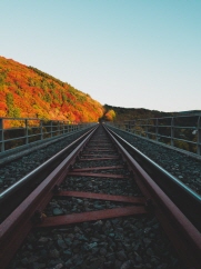 6월 KTX 할인(총정리)