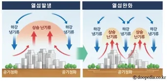 열섬 현상 도심 그늘길 이른 외출 수분 보충 습관_4