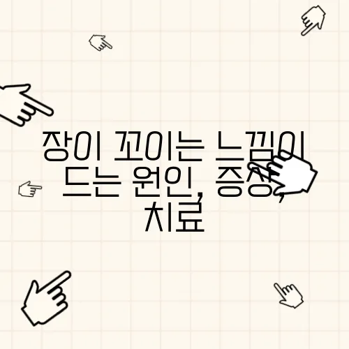 장이 꼬이는 느낌이 드는 원인, 증상, 치료