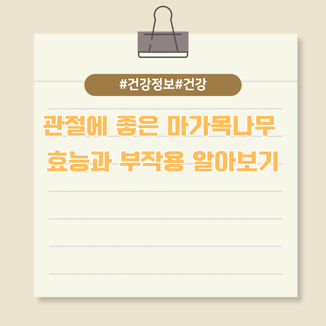 관절에 좋은 마가목나무 효능과 부작용 알아보기