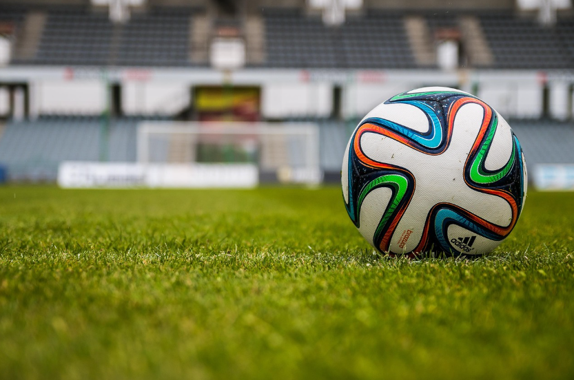 잔디구장 위 축구공