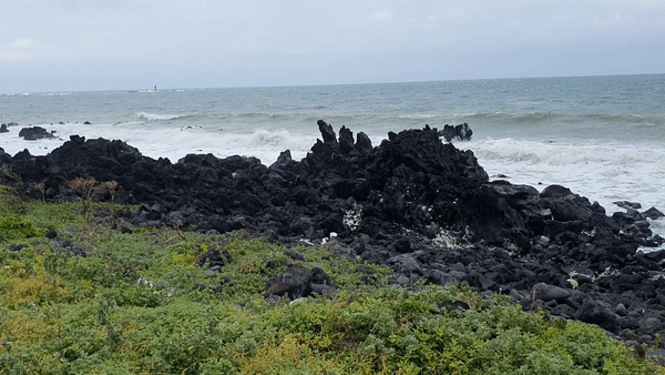 제주 고망난 돌 바다