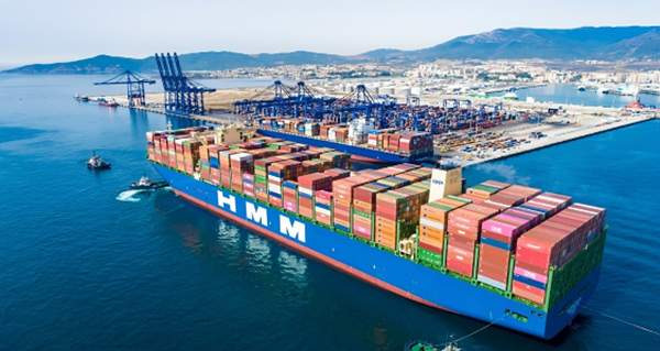 HMM 부산 이전 확정! 북항 본사 사옥 건립 및 향후 일정 총정리 (2026년 업데이트)