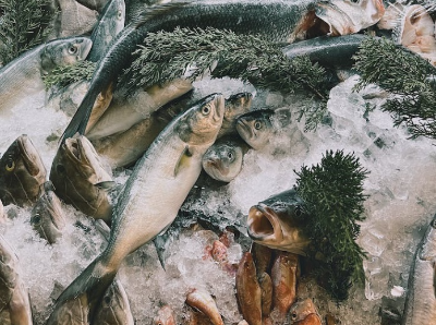 과메기 맛있게 먹는법