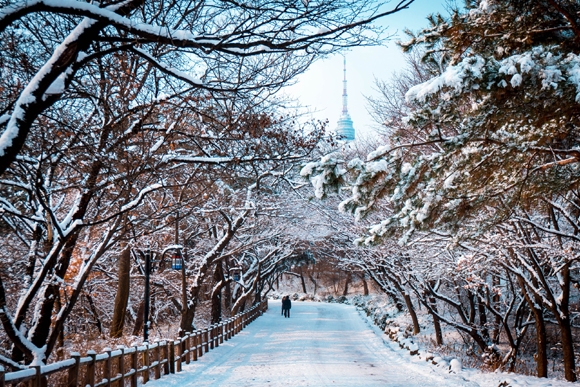 눈이 쌓인 일본 풍경