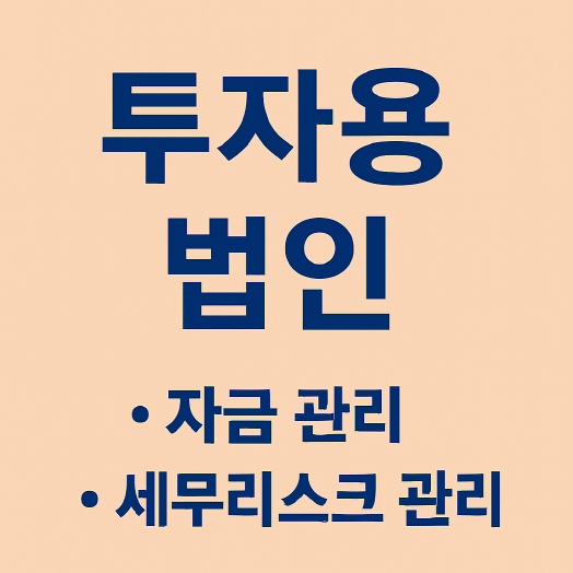 1인 사업자 투자용 법인 설립 후 자금 관리 구조와 세무 리스크 관리