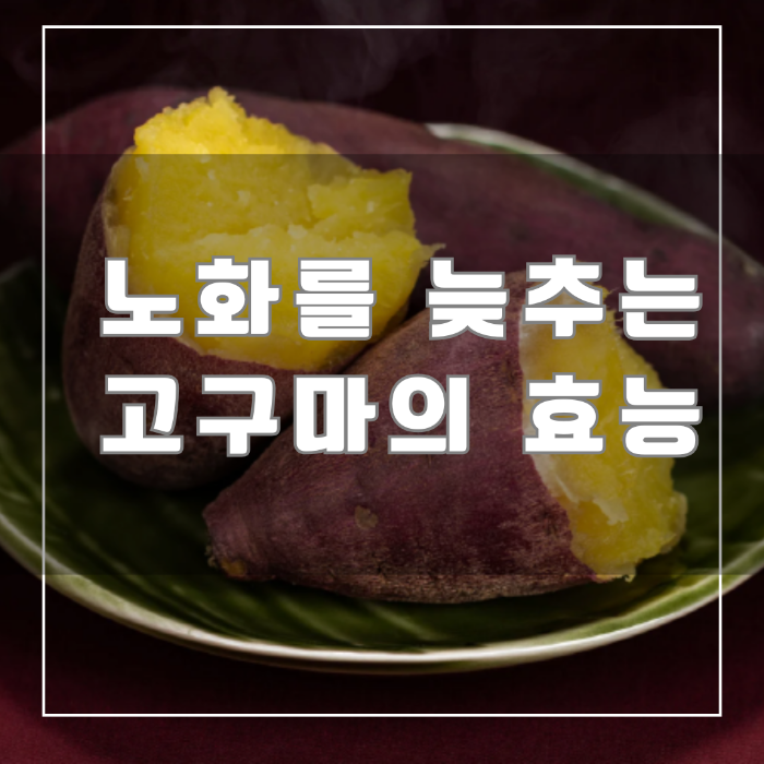 노화를 늦추는 고구마의 효능