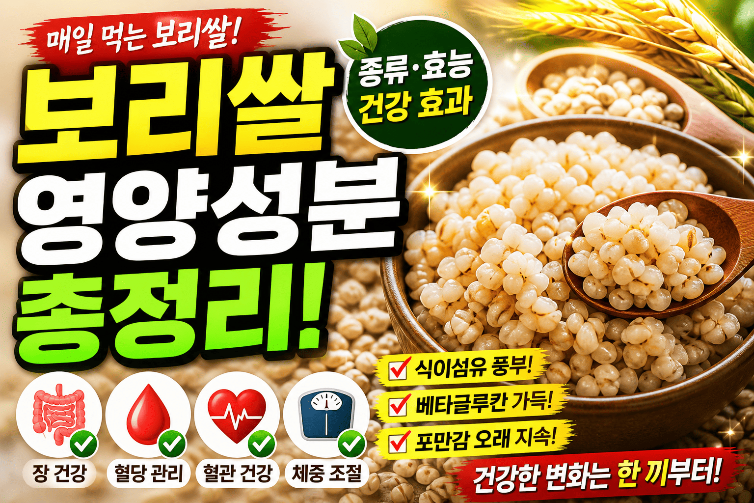 보리쌀 영양성분 총정리 (종류 효능 건강)