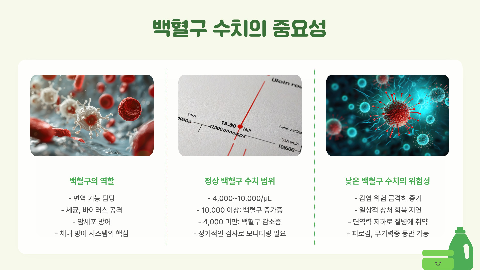백혈구 정상수치와 수치 올리는 음식